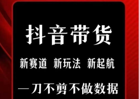 抖音短视频带货无需剪辑不直播，每日发布坐等订单赚佣金-西蒙学社