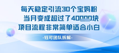 每天稳定引流 30 人 当月收益突破 4 万 项目流程简单适合新手小白-西蒙学社