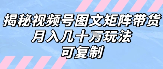 揭秘视频号图文带货矩阵，轻松实现月入数万的可复制玩法-西蒙学社