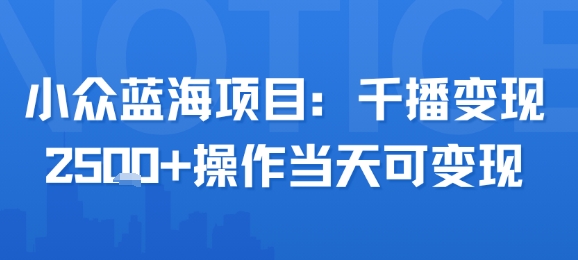 小众蓝海项目实战分享：单日轻松变现2500+的实操技巧-西蒙学社