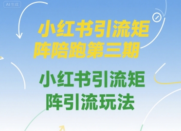 小红书引流矩阵实战课程第三期：深度拆解矩阵运营与精准引流技巧-西蒙学社