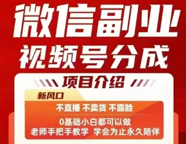 视频号轻松赚钱副业：不露脸不直播，几分钟完成一任务日入几十元-西蒙学社