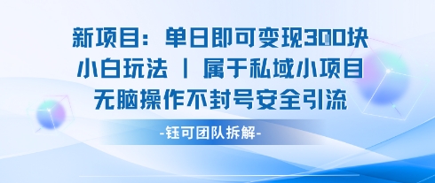 小白单日变现300元轻松新项目无脑操作全程安全不封号引流秘籍-西蒙学社