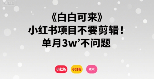 小白也能做的小红书项目 无需剪辑单月收入3万-西蒙学社