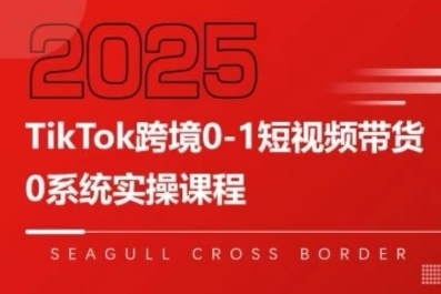 TikTok跨境电商从零到一短视频带货全攻略，深度解析带货全流程实现稳定盈利-西蒙学社