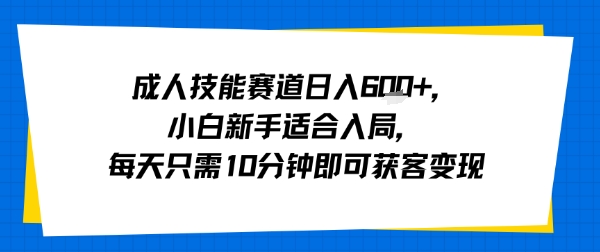 小白零门槛副业：每日10分钟引流变现，技能变现日赚500+速成法！-西蒙学社