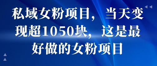 私域女性粉丝项目日赚1000+，超简单操作当日见效，可复制放大收益-西蒙学社