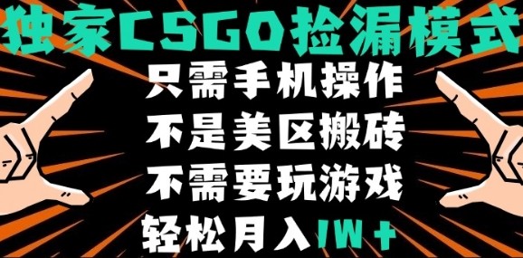 CSGO自动捡漏暴利玩法：新手零基础全程挂机 不玩不懂轻松月入过万（内幕揭秘）-西蒙学社
