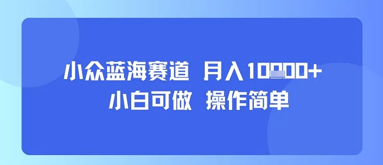 小白月入过万轻松指南：小众蓝海项目简单上手，每天只花30分钟！-西蒙学社