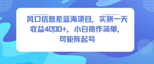 日入四千亲测有效：蓝海信息差项目新手速成，支持矩阵操作-西蒙学社