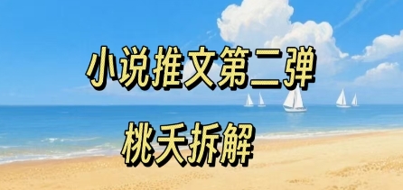 小说推广项目实操流程Part2：零粉快速入门，超低门槛新手赚米必备-西蒙学社
