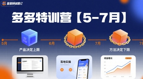 多多特训营实操精华：产品决定高度 方法保障下限 玩法技巧落地通解-西蒙学社