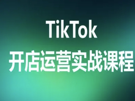 TikTok店铺0基础精通：独立站建设到跨境收款的电商赚钱指南-西蒙学社