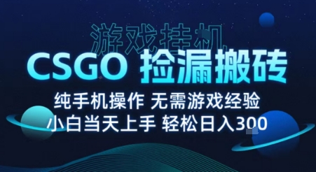 CSGO挂机攻略分享：实战总结稳定月入过万的最新方法-西蒙学社