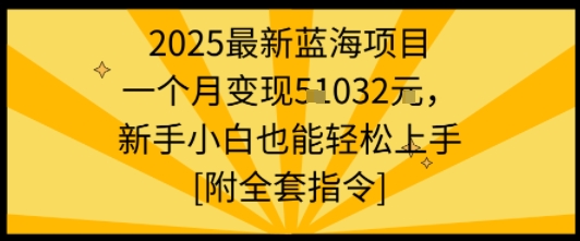 2025蓝海项目赚钱秘籍月入过万真实案例0基础小白快速上手指南附全套资料-西蒙学社