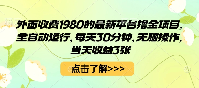 平台撸金项目日赚300元真相？30分钟自动操作，无脑方法揭秘-西蒙学社