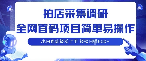 拍店采集新项目秘诀：新手速通多开日赚500＋-西蒙学社