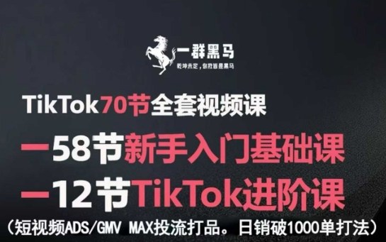TikTok短视频营销全攻略：新手入门进阶教程，高效ADS-GMV MAX投流爆款打法，日销破千单秘籍-西蒙学社