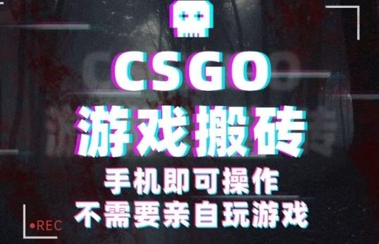 CSGO挂机捡漏日赚500+，年底机会加码手机副业创业捞金秘笈-西蒙学社
