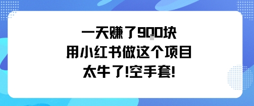小红书项目日入9000零成本躺赢教程-西蒙学社