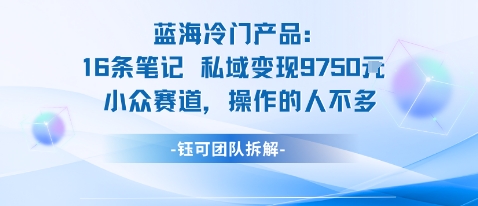 16条私域笔记变现9750元蓝海项目小众赛道玩家寥寥-西蒙学社