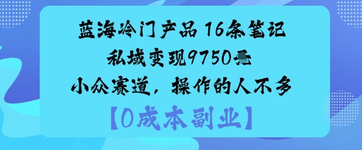 16条笔记私域变现9750元冷门蓝海小众赛道操作稀少-西蒙学社