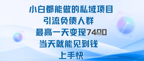2025新手私域引流项目负债人群日赚1000+难度低当天见效入手快-西蒙学社