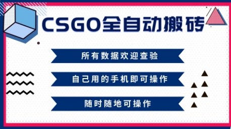 CSGO自动赚钱系统年内见效新手轻松月入过万最新揭秘-西蒙学社