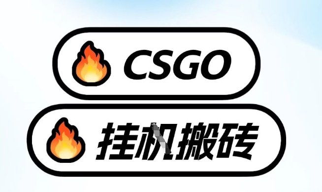 全网独家CSGO秘籍速赚千元免电脑游戏独门曝光-西蒙学社