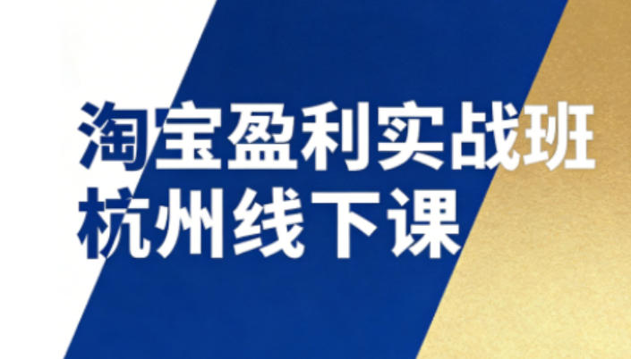 淘宝盈利实战杭州线下课1226-12月28日教你精通SOP流程与12项核心技术含音频字幕-西蒙学社