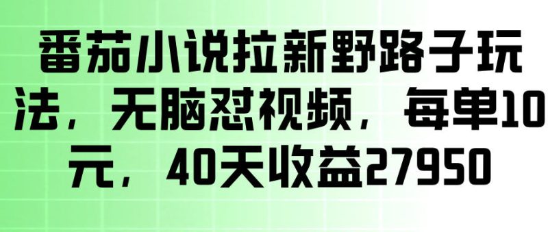 番茄小说拉新野路子玩法,无脑怼视频,玩法简单、见效快,每单10米,40天收益27950-西蒙学社