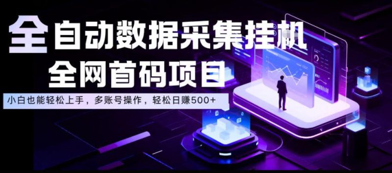 全自动数据采集挂G，全网首码项目，简单易操作，小白也能轻松上手，多账号操作，轻松日入500+【揭秘】-西蒙学社