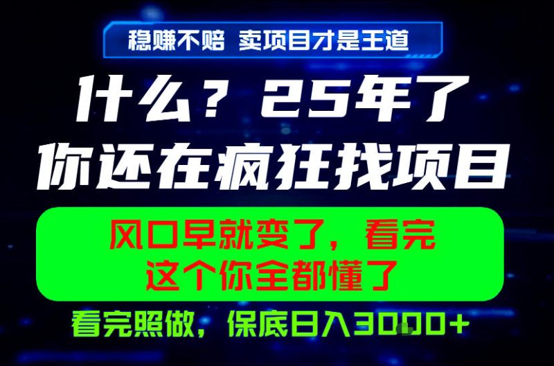 26年,请不要疯狂的找项目做了!卖项目才是真的稳賺不赔,看完照做,保底日入1k+【揭秘】-西蒙学社