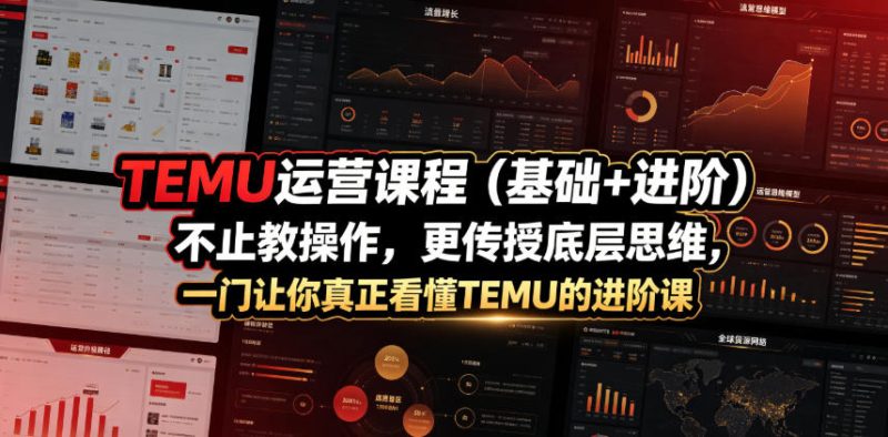 TEMU运营课程（基础+进阶），不止教操作，更传授底层思维，一门让你真正看懂TEMU的进阶课-西蒙学社