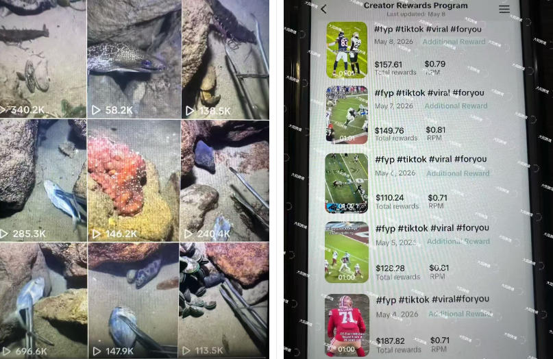 相关图片