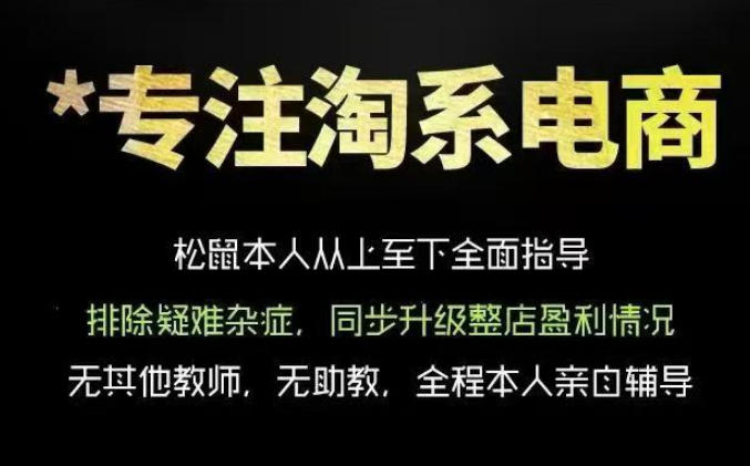 松鼠会电商VIP课程，从基础布局到高阶优化，助你掌握淘宝运营逻辑，提升店铺流量与转化（更新0823）-西蒙学社