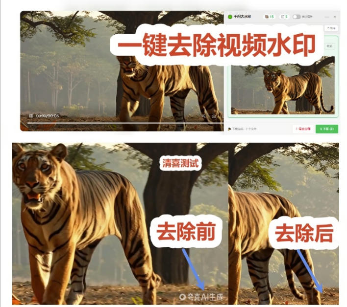 相关图片