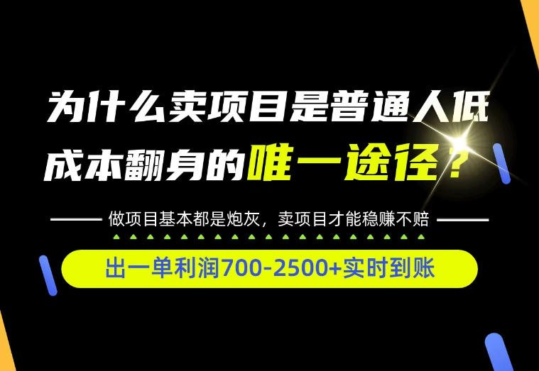 普通人如何靠互联网賺取自己的第一桶金！全类目实操型教学，看完你全都懂了！【揭秘】-西蒙学社